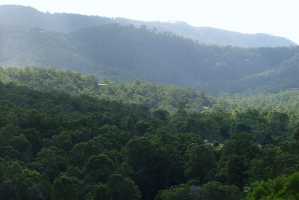 HINZE DAM 2006(031)